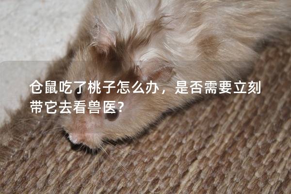 仓鼠吃了桃子怎么办，是否需要立刻带它去看兽医？