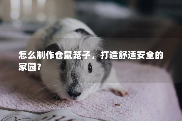 怎么制作仓鼠笼子，打造舒适安全的家园？