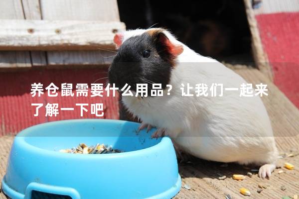 养仓鼠需要什么用品？让我们一起来了解一下吧