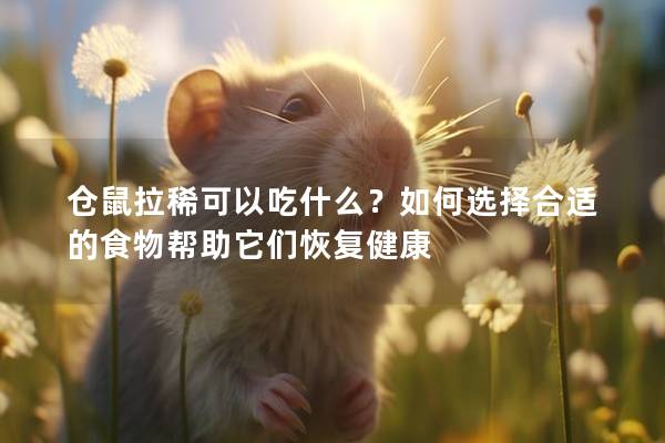 仓鼠拉稀可以吃什么？如何选择合适的食物帮助它们恢复健康