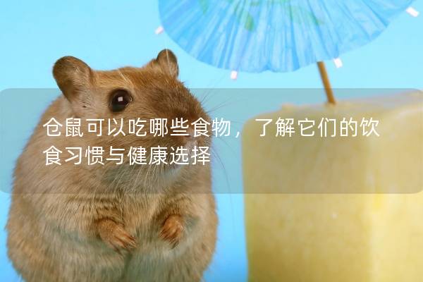 仓鼠可以吃哪些食物，了解它们的饮食习惯与健康选择