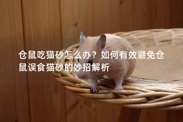 仓鼠吃猫砂怎么办？如何有效避免仓鼠误食猫砂的妙招解析