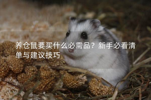 养仓鼠要买什么必需品？新手必看清单与建议技巧