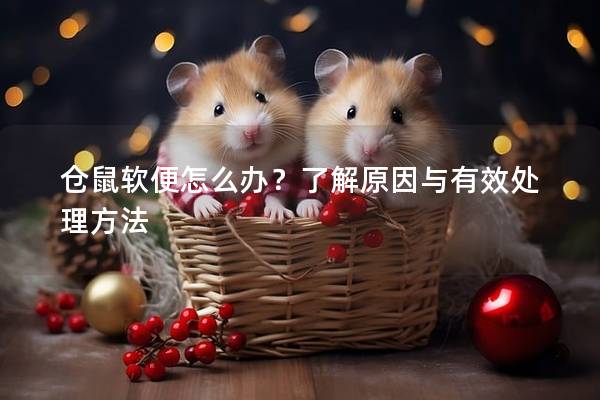 仓鼠软便怎么办？了解原因与有效处理方法