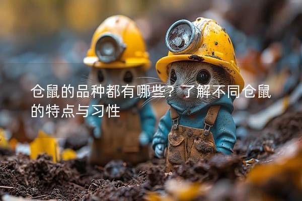 仓鼠的品种都有哪些？了解不同仓鼠的特点与习性