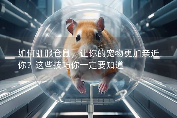 如何驯服仓鼠，让你的宠物更加亲近你？这些技巧你一定要知道