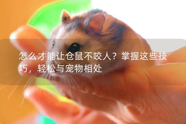 怎么才能让仓鼠不咬人？掌握这些技巧，轻松与宠物相处