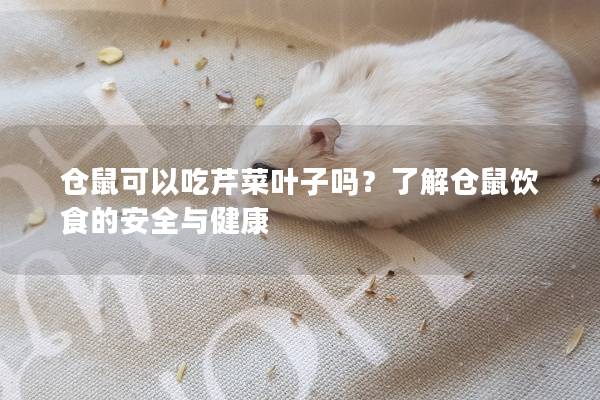 仓鼠可以吃芹菜叶子吗？了解仓鼠饮食的安全与健康