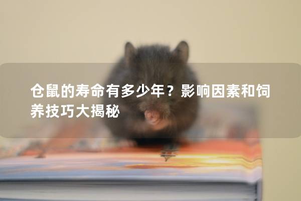 仓鼠的寿命有多少年？影响因素和饲养技巧大揭秘