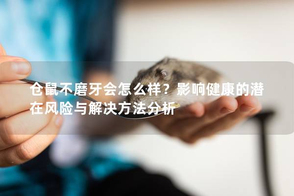 仓鼠不磨牙会怎么样？影响健康的潜在风险与解决方法分析