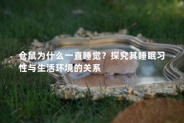 仓鼠为什么一直睡觉？探究其睡眠习性与生活环境的关系