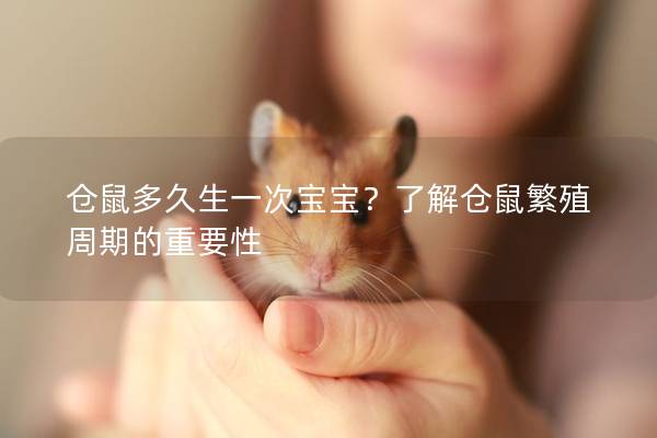 仓鼠多久生一次宝宝？了解仓鼠繁殖周期的重要性