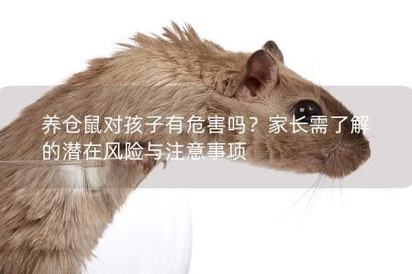 养仓鼠对孩子有危害吗？家长需了解的潜在风险与注意事项