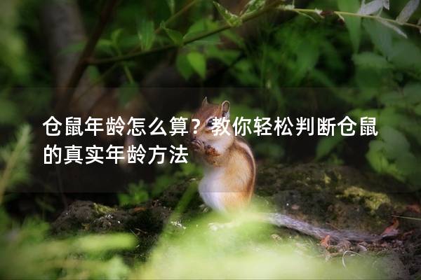 仓鼠年龄怎么算？教你轻松判断仓鼠的真实年龄方法