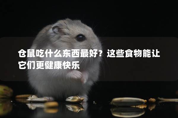 仓鼠吃什么东西最好？这些食物能让它们更健康快乐