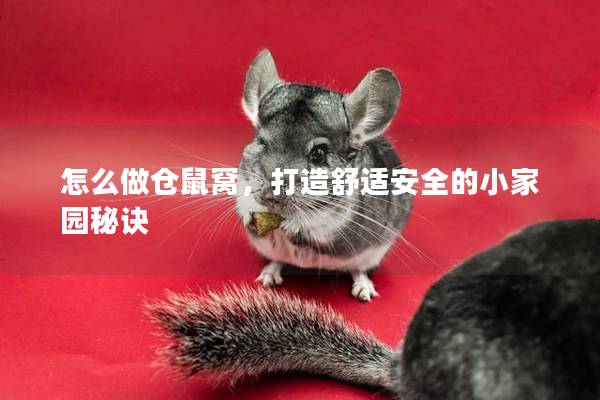 怎么做仓鼠窝，打造舒适安全的小家园秘诀