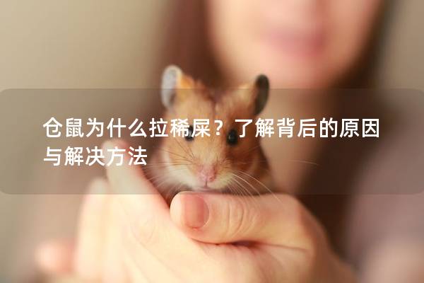 仓鼠为什么拉稀屎？了解背后的原因与解决方法