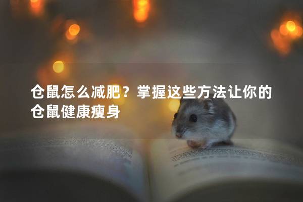 仓鼠怎么减肥？掌握这些方法让你的仓鼠健康瘦身