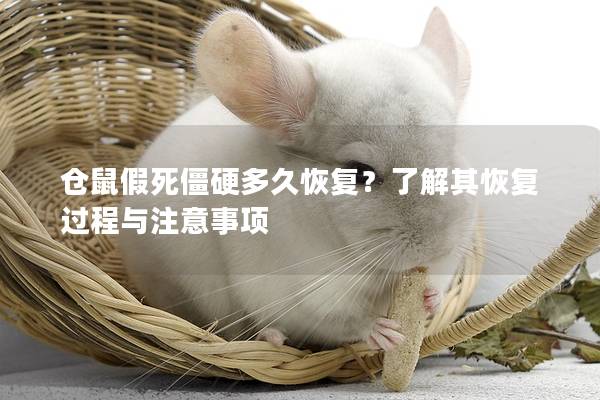 仓鼠假死僵硬多久恢复？了解其恢复过程与注意事项