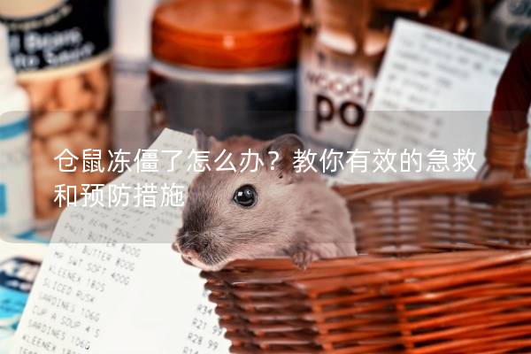 仓鼠冻僵了怎么办？教你有效的急救和预防措施