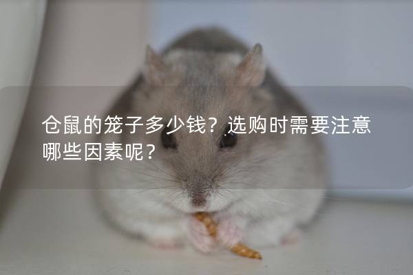 仓鼠的笼子多少钱？选购时需要注意哪些因素呢？
