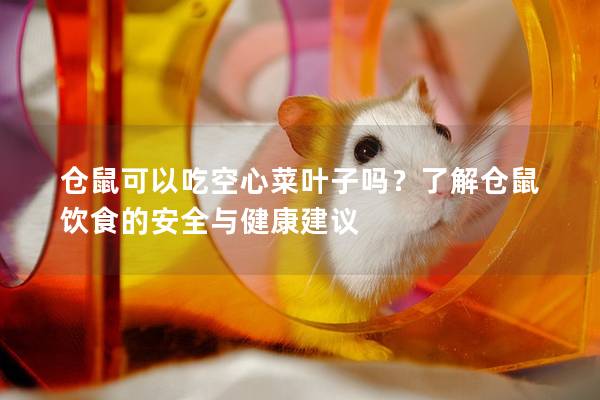 仓鼠可以吃空心菜叶子吗？了解仓鼠饮食的安全与健康建议