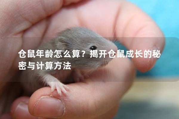 仓鼠年龄怎么算？揭开仓鼠成长的秘密与计算方法
