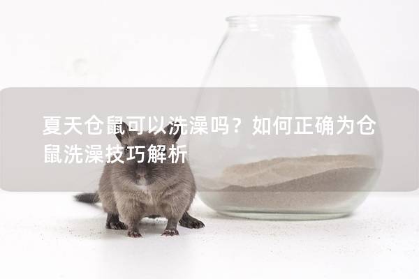 夏天仓鼠可以洗澡吗？如何正确为仓鼠洗澡技巧解析