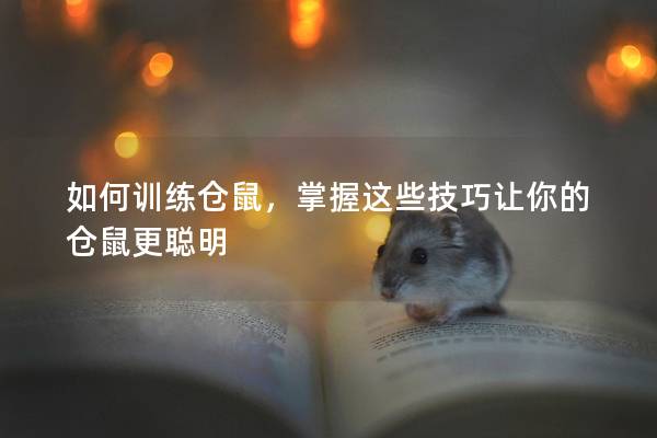 如何训练仓鼠，掌握这些技巧让你的仓鼠更聪明