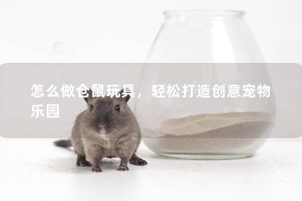 怎么做仓鼠玩具，轻松打造创意宠物乐园