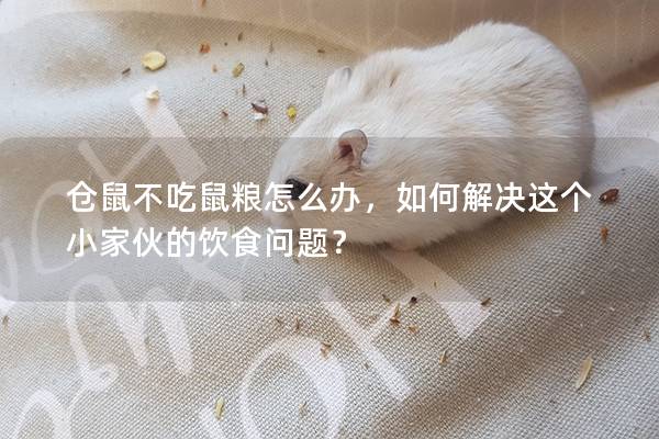 仓鼠不吃鼠粮怎么办，如何解决这个小家伙的饮食问题？