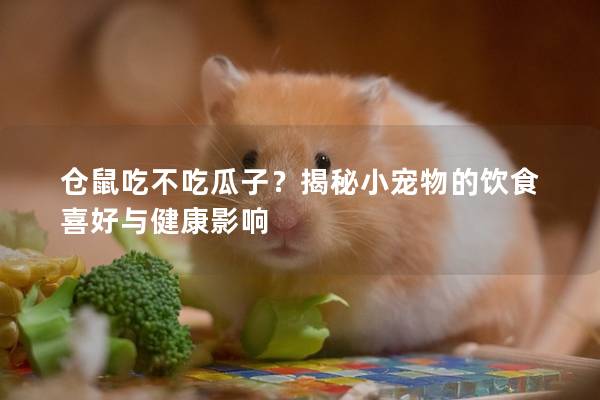仓鼠吃不吃瓜子？揭秘小宠物的饮食喜好与健康影响