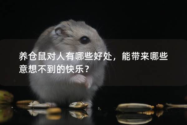 养仓鼠对人有哪些好处，能带来哪些意想不到的快乐？