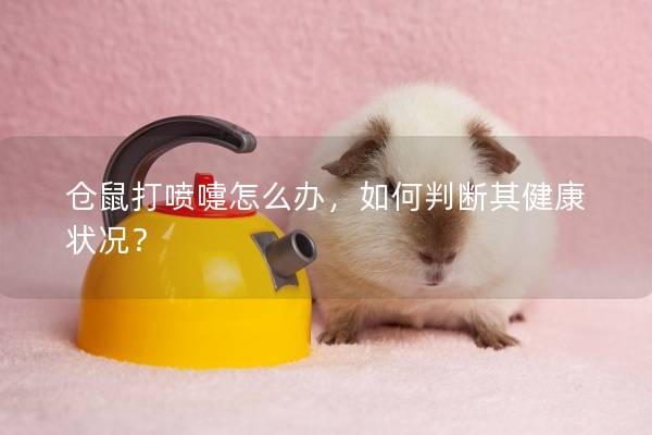 仓鼠打喷嚏怎么办，如何判断其健康状况？