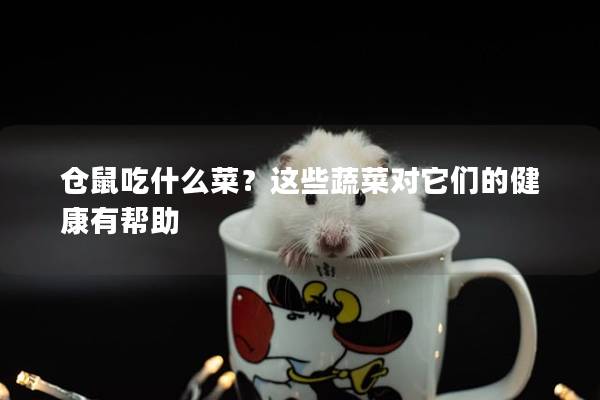 仓鼠吃什么菜？这些蔬菜对它们的健康有帮助