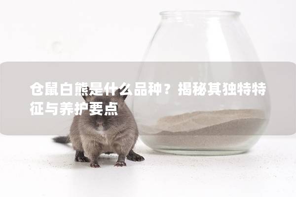 仓鼠白熊是什么品种？揭秘其独特特征与养护要点