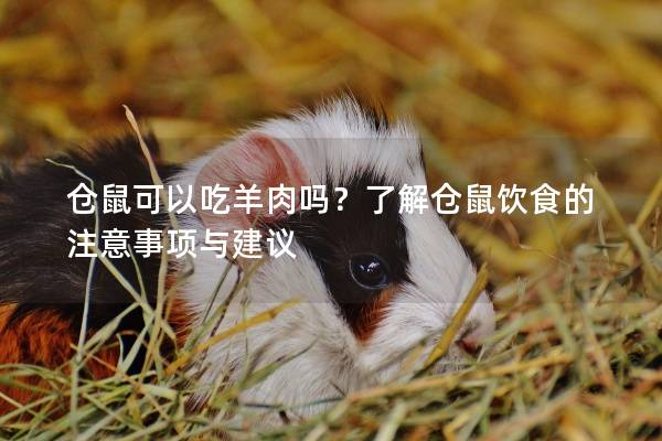 仓鼠可以吃羊肉吗？了解仓鼠饮食的注意事项与建议