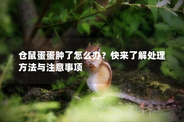仓鼠蛋蛋肿了怎么办？快来了解处理方法与注意事项