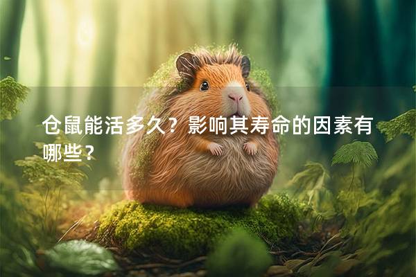 仓鼠能活多久？影响其寿命的因素有哪些？