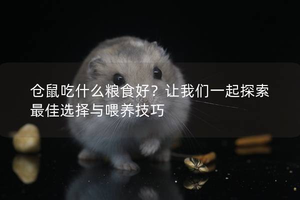 仓鼠吃什么粮食好？让我们一起探索最佳选择与喂养技巧