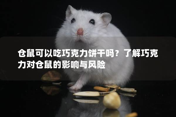 仓鼠可以吃巧克力饼干吗？了解巧克力对仓鼠的影响与风险