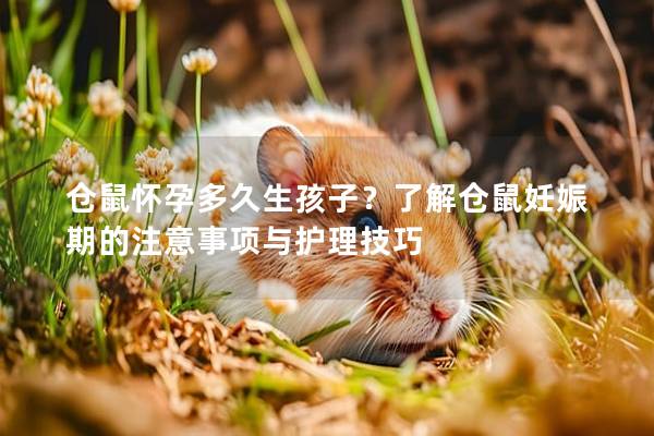 仓鼠怀孕多久生孩子？了解仓鼠妊娠期的注意事项与护理技巧