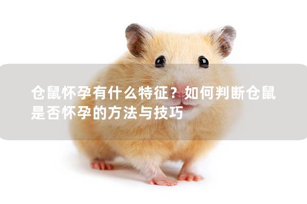 仓鼠怀孕有什么特征？如何判断仓鼠是否怀孕的方法与技巧