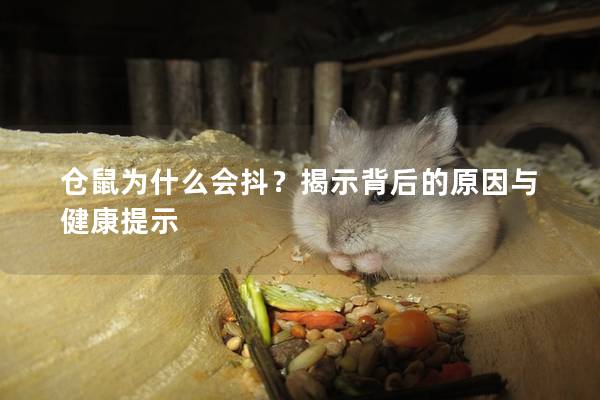 仓鼠为什么会抖？揭示背后的原因与健康提示
