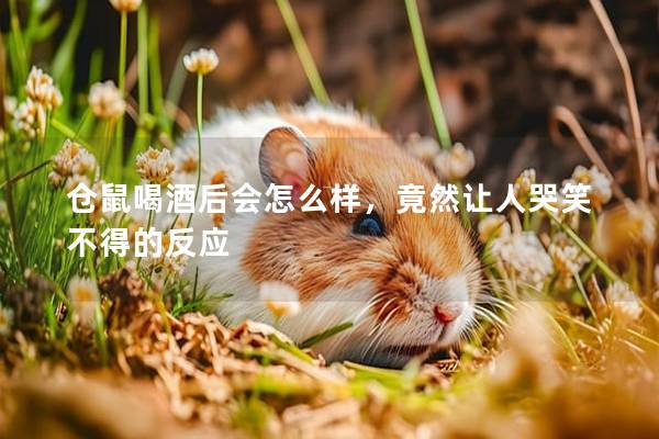 仓鼠喝酒后会怎么样，竟然让人哭笑不得的反应