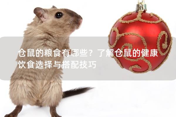 仓鼠的粮食有哪些？了解仓鼠的健康饮食选择与搭配技巧