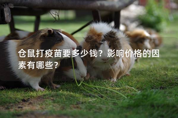 仓鼠打疫苗要多少钱？影响价格的因素有哪些？