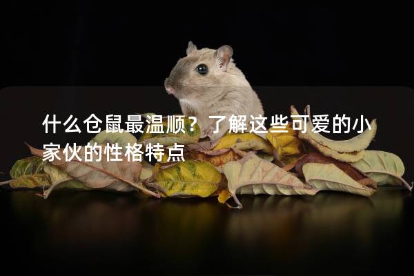 什么仓鼠最温顺？了解这些可爱的小家伙的性格特点