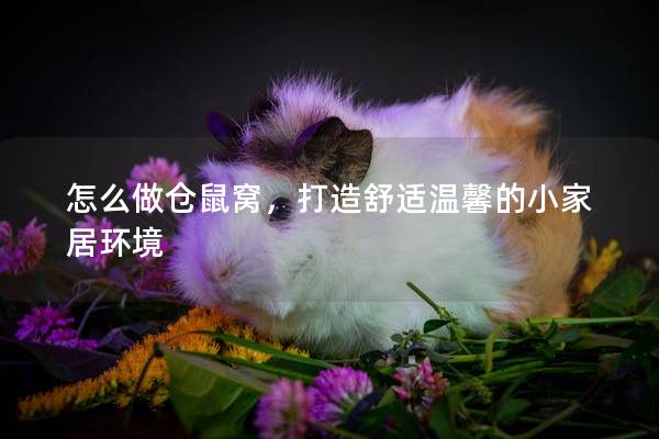 怎么做仓鼠窝，打造舒适温馨的小家居环境