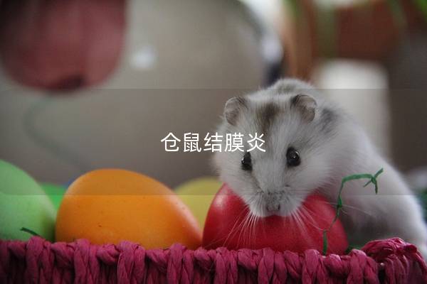 仓鼠结膜炎